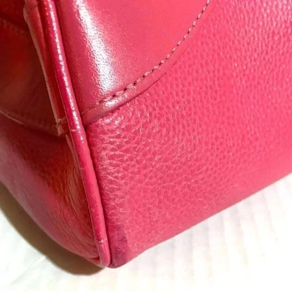 Longchamp pink leather
