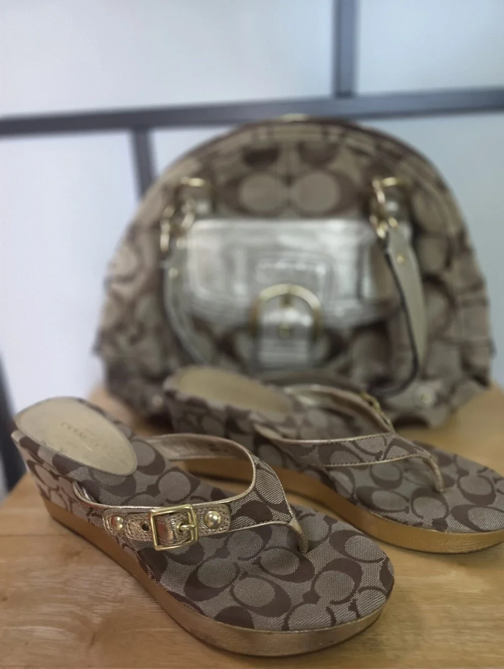 Coach cushioned size