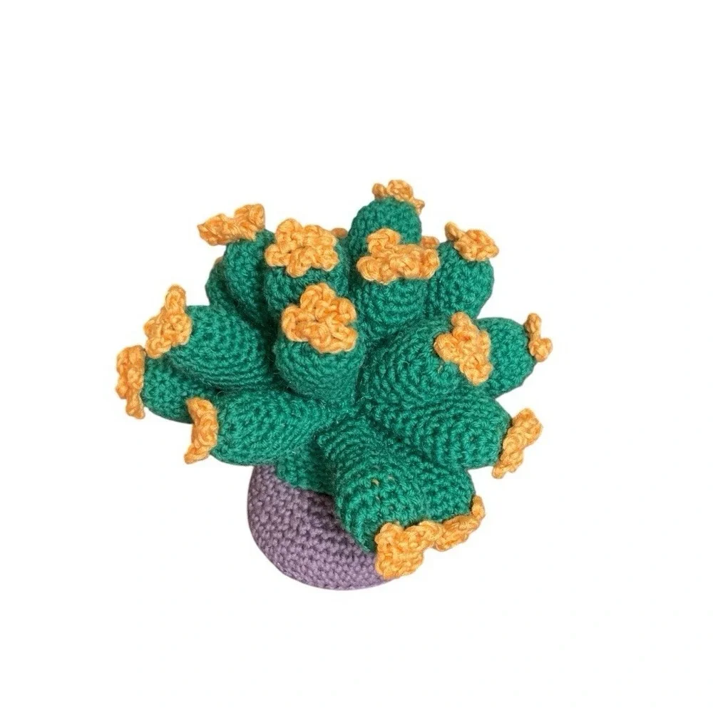 Handmade crochet cactus