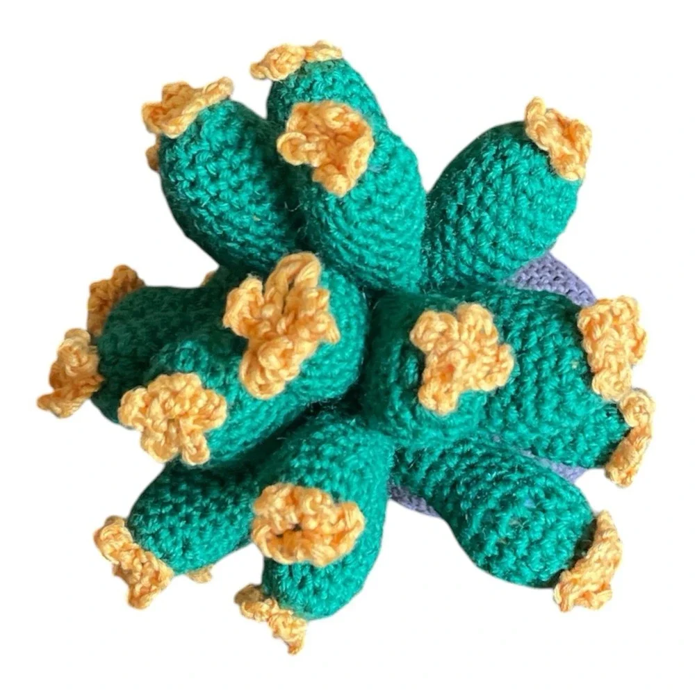 Handmade crochet cactus