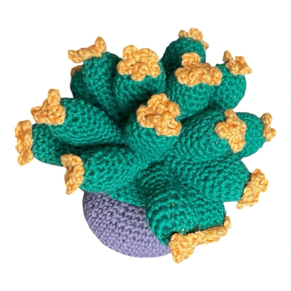 Handmade crochet cactus