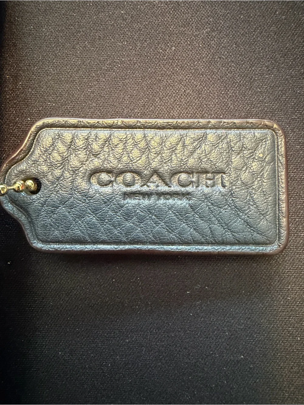Coach signature canvas