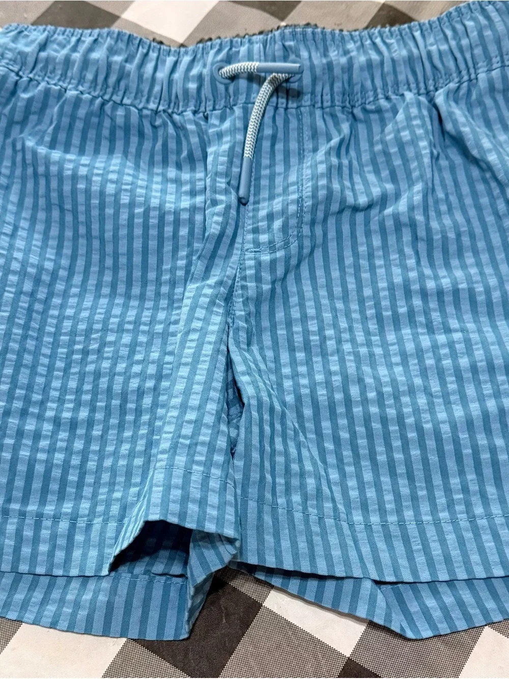 art class Blue Striped Swim Trunks