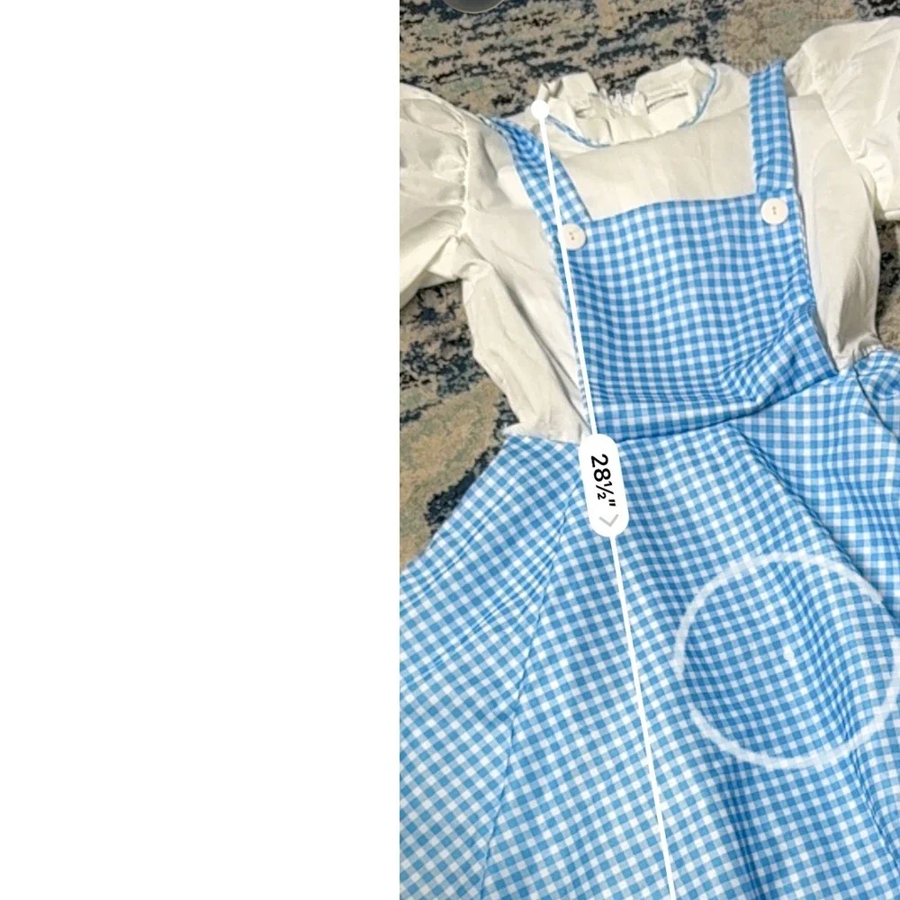 Rubies Costume Co. wizard oz