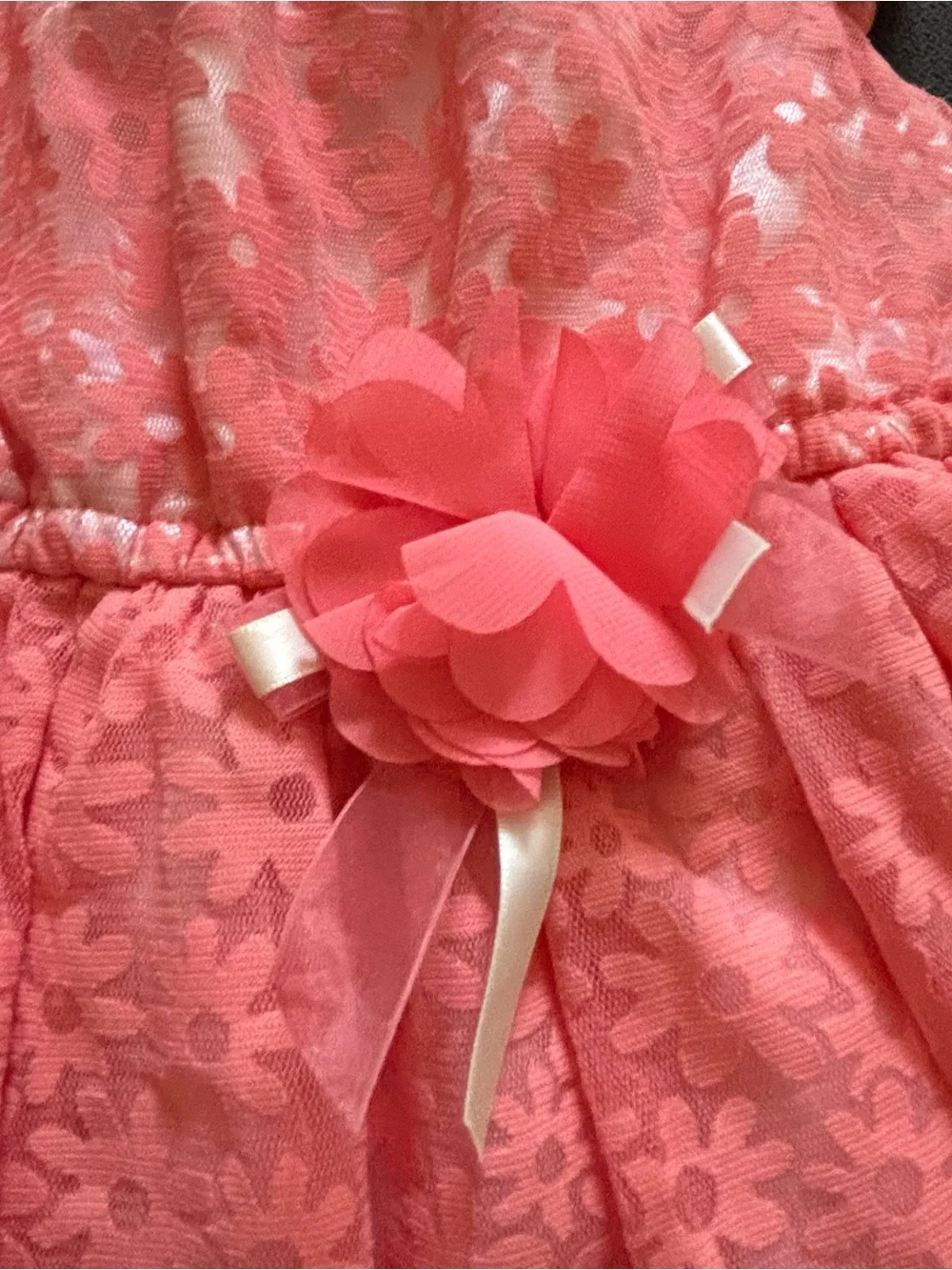 bloom sweet coral