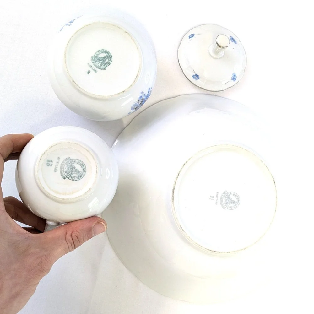Fine Bohemian China fine bohemian