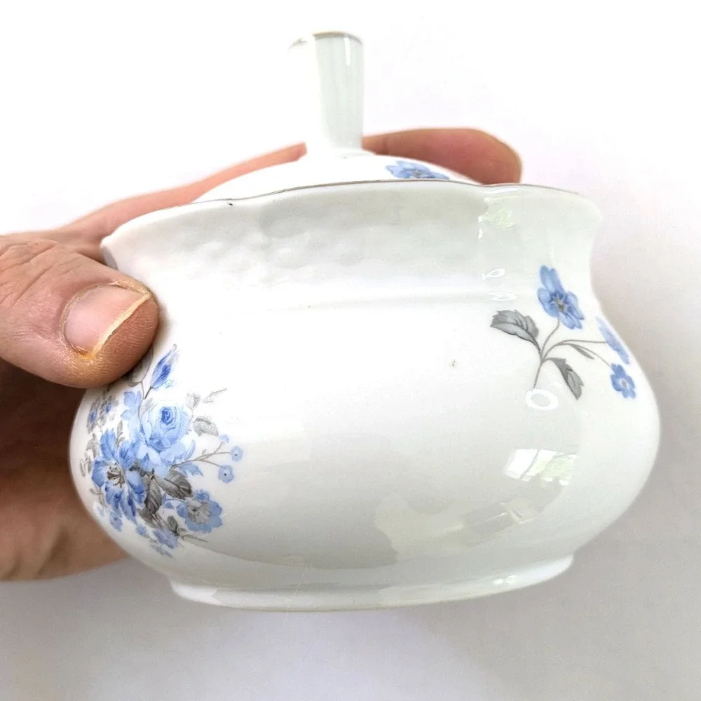 Fine Bohemian China fine bohemian
