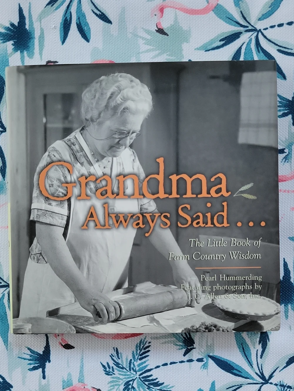 Grandma Always Said... The Little Book Of Country Wisdom By Pearl Hummerding