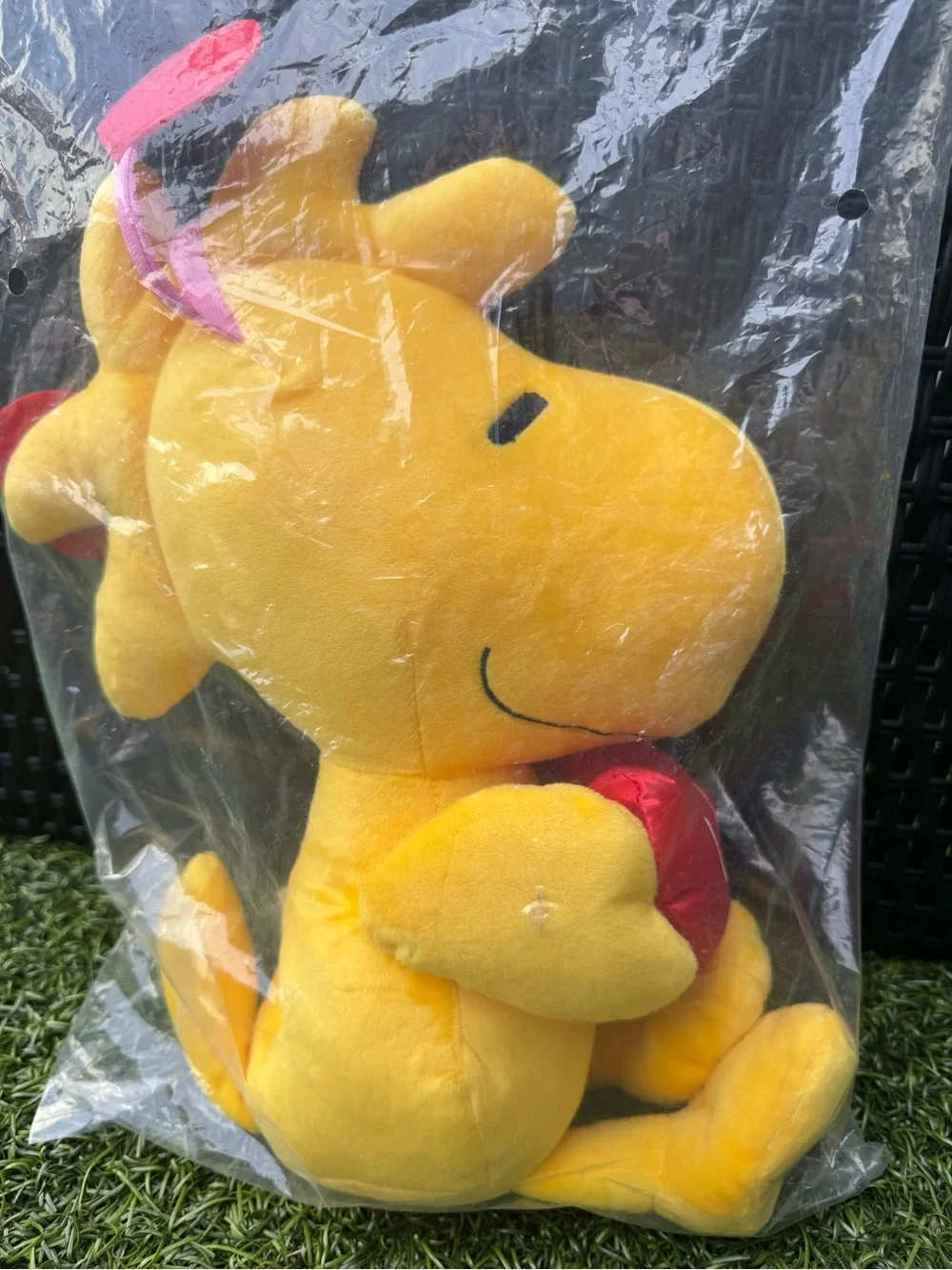 Peanuts brand new
