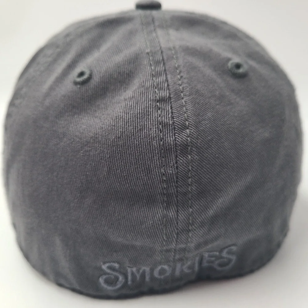 47 tennessee smokies