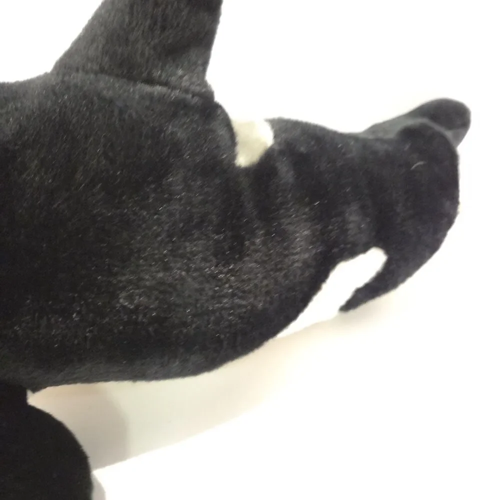 Sea World used but
