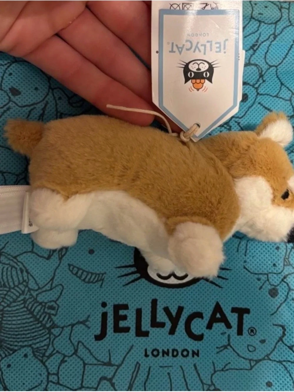 Jellycat this came