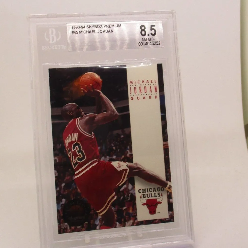 Panini new michael
