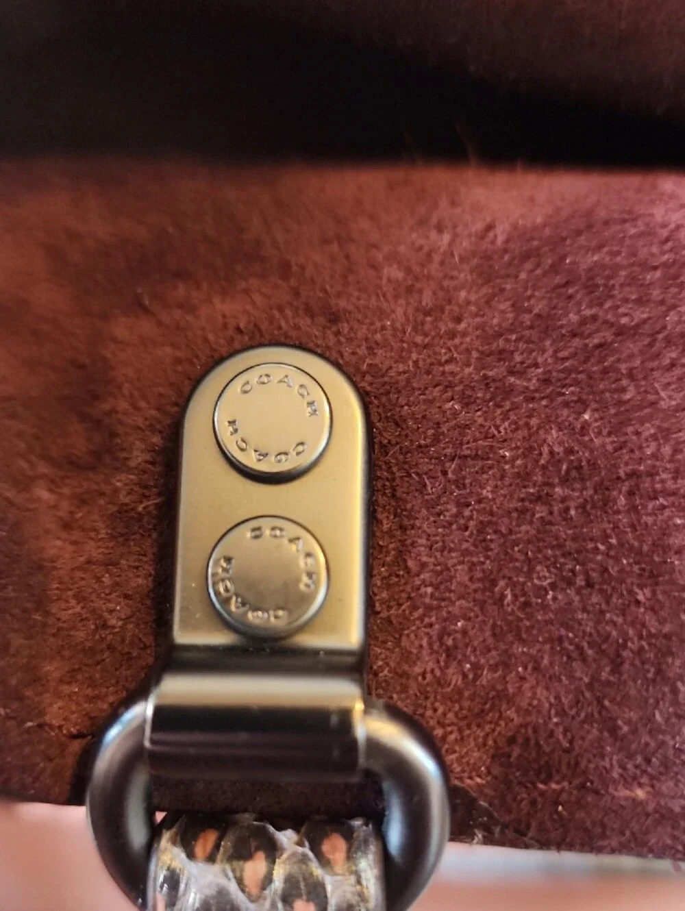 Coach 1941 rogue