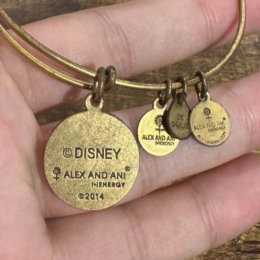 Alex and Ani bracelet magic excellent