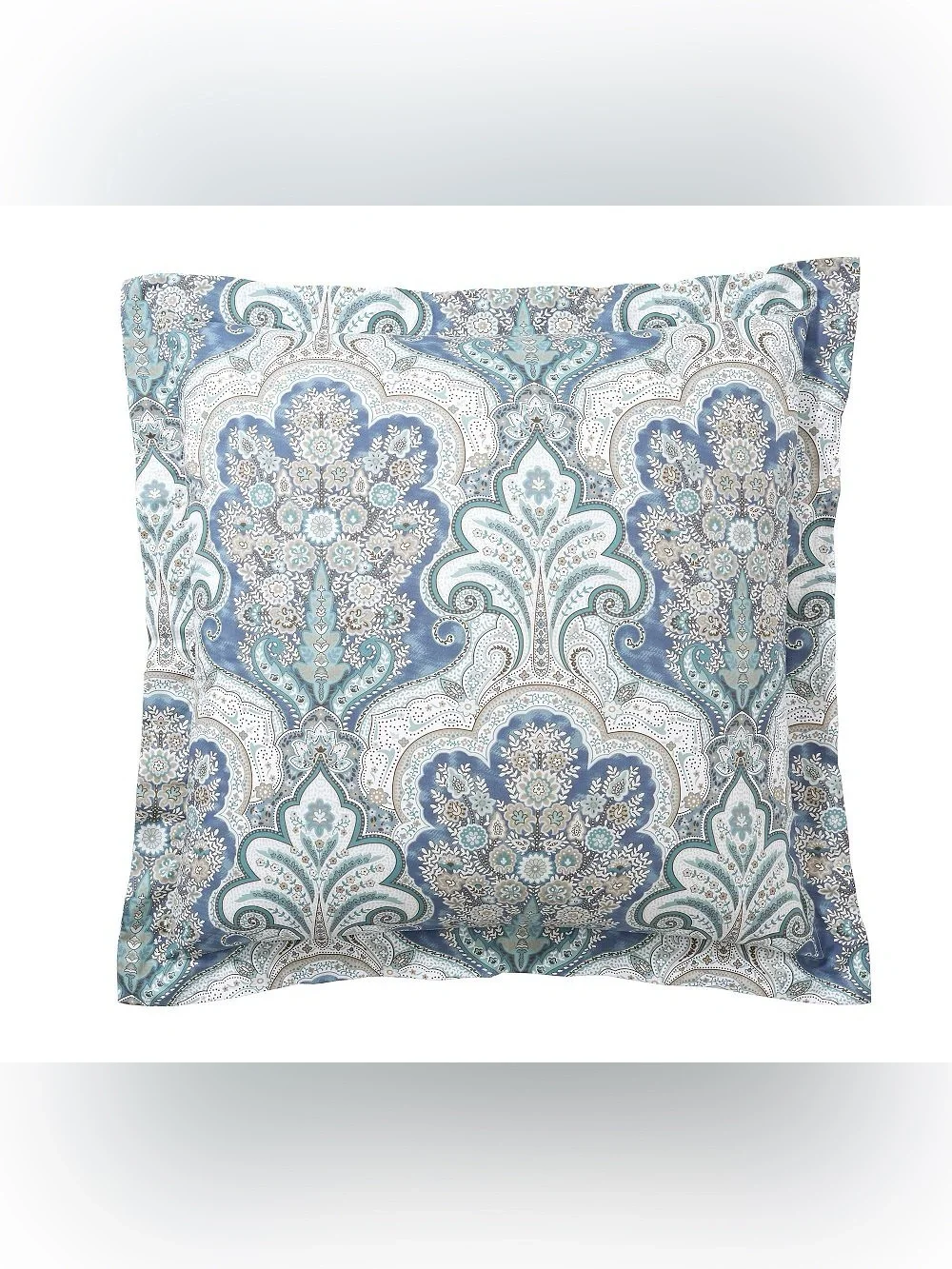 Pottery Barn Jordana Paisley Percale Euro Shams Set of 2