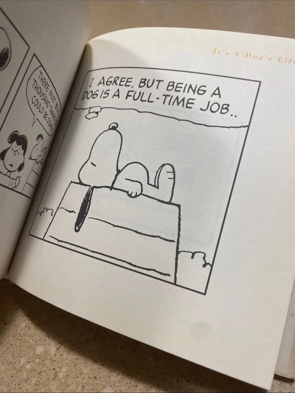 Peanuts hardcover featuring