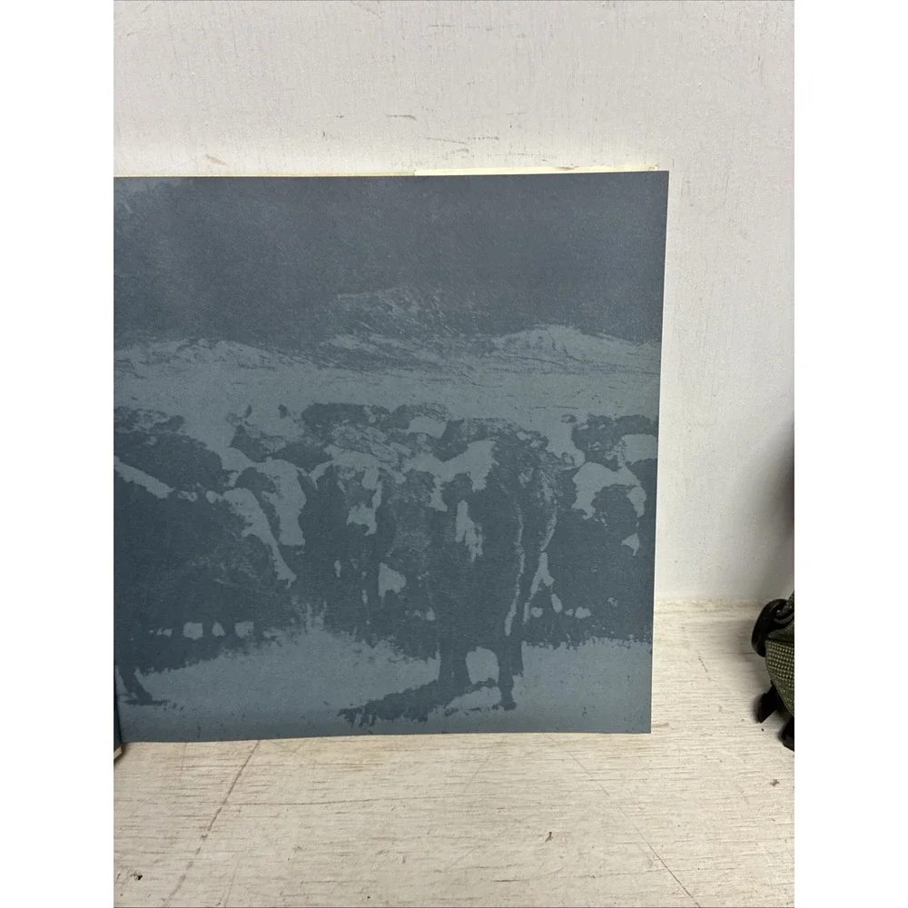 Traildust: Cowboys, Cattle and Country - The Art of James Reynolds Don Hedgpeth