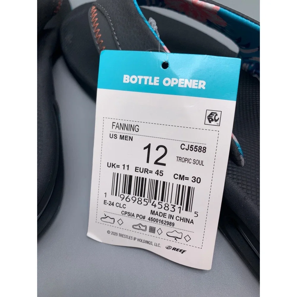 Reef fanning tropic