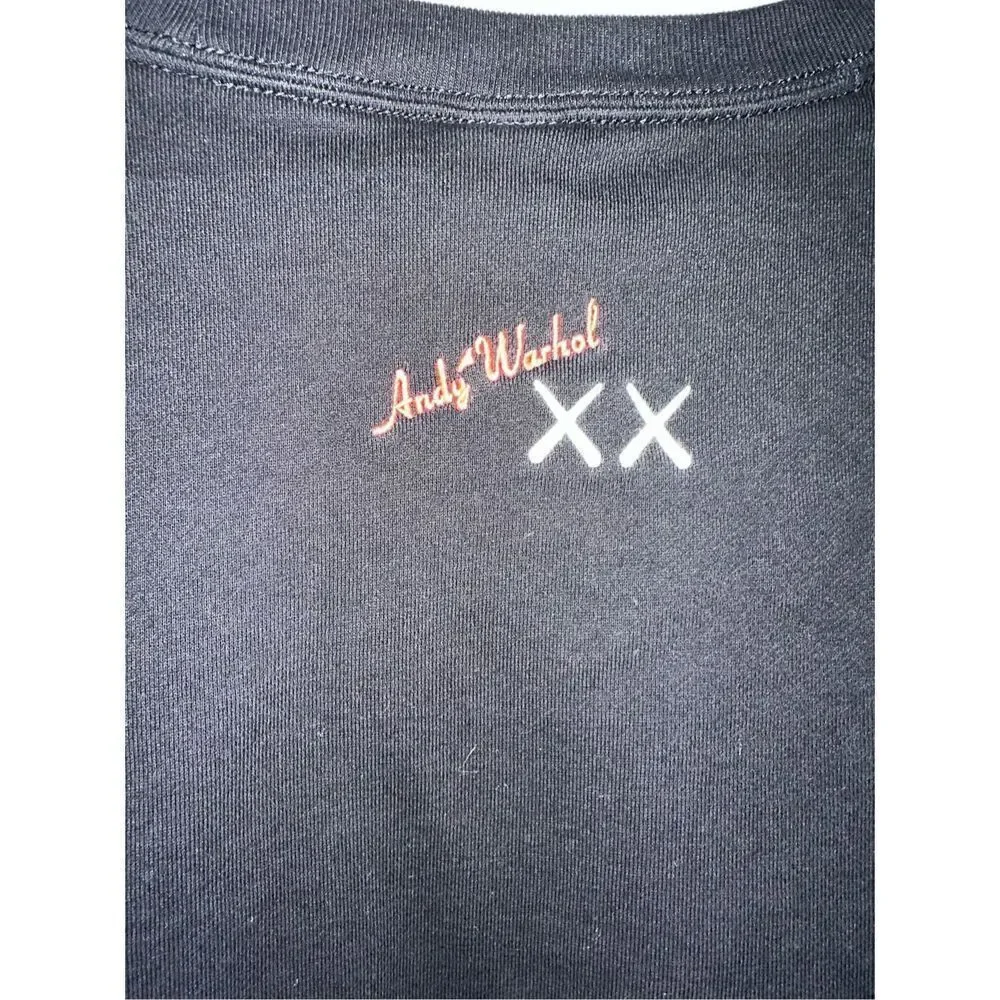 Uniqlo x KAWS kaws andy