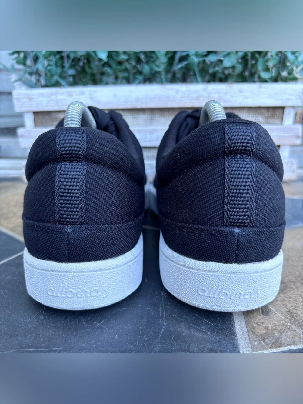 allbirds canvas pacer