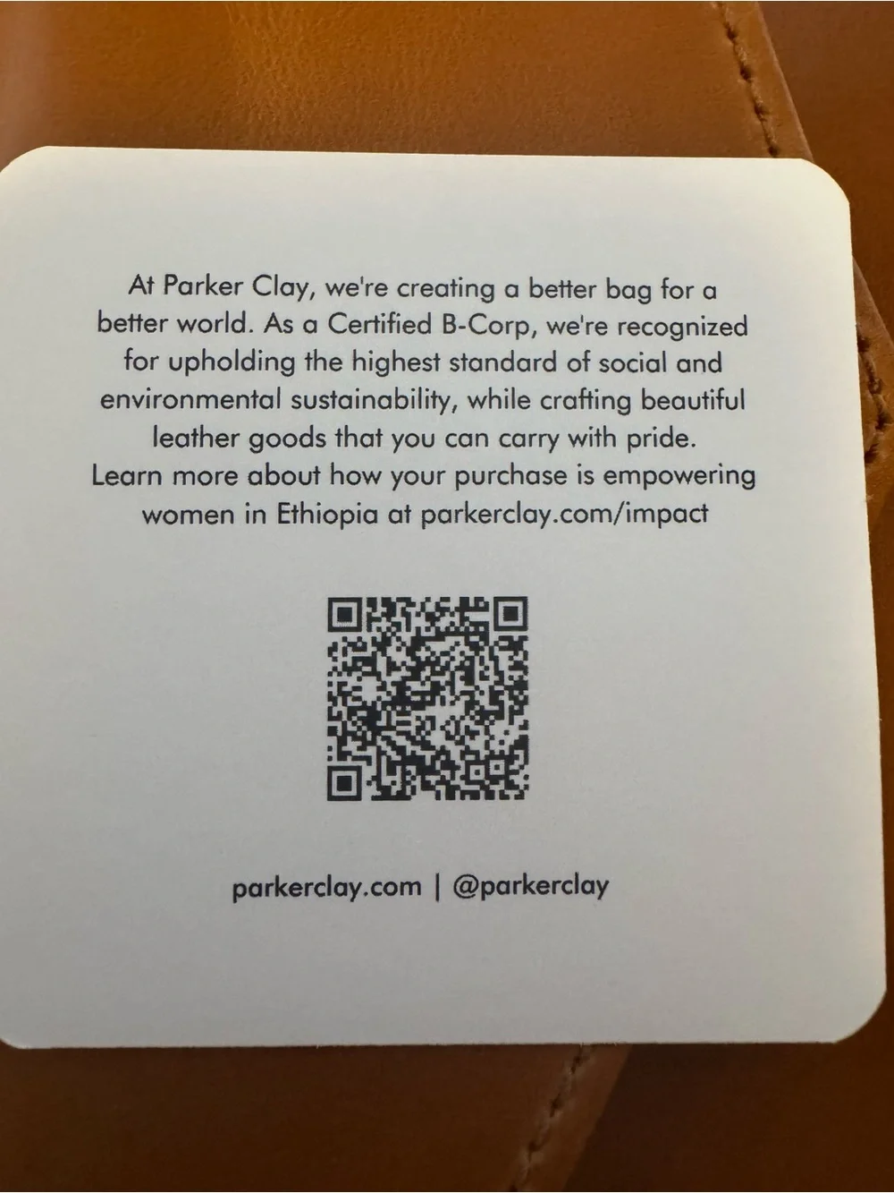 Parker Clay one piece