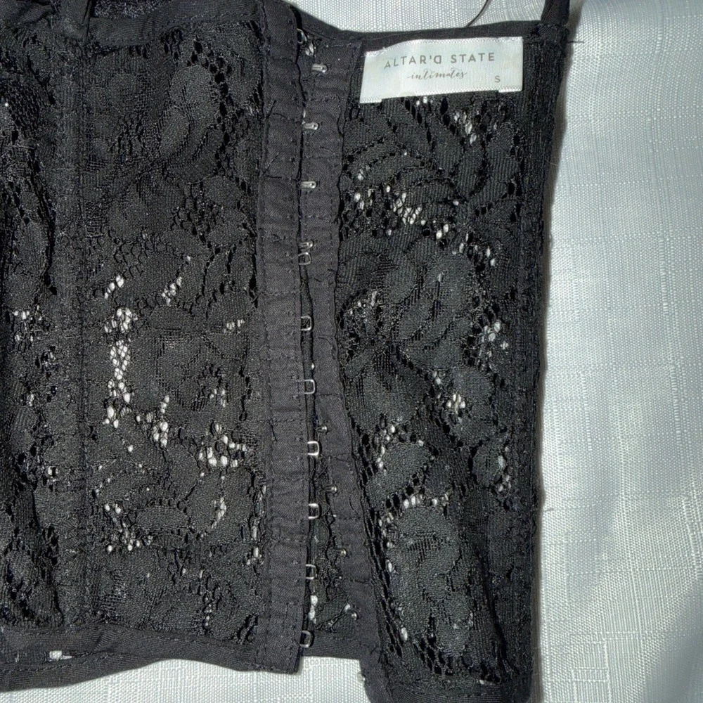 Altard State this corset