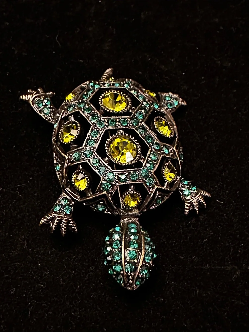N/A detailed turtle