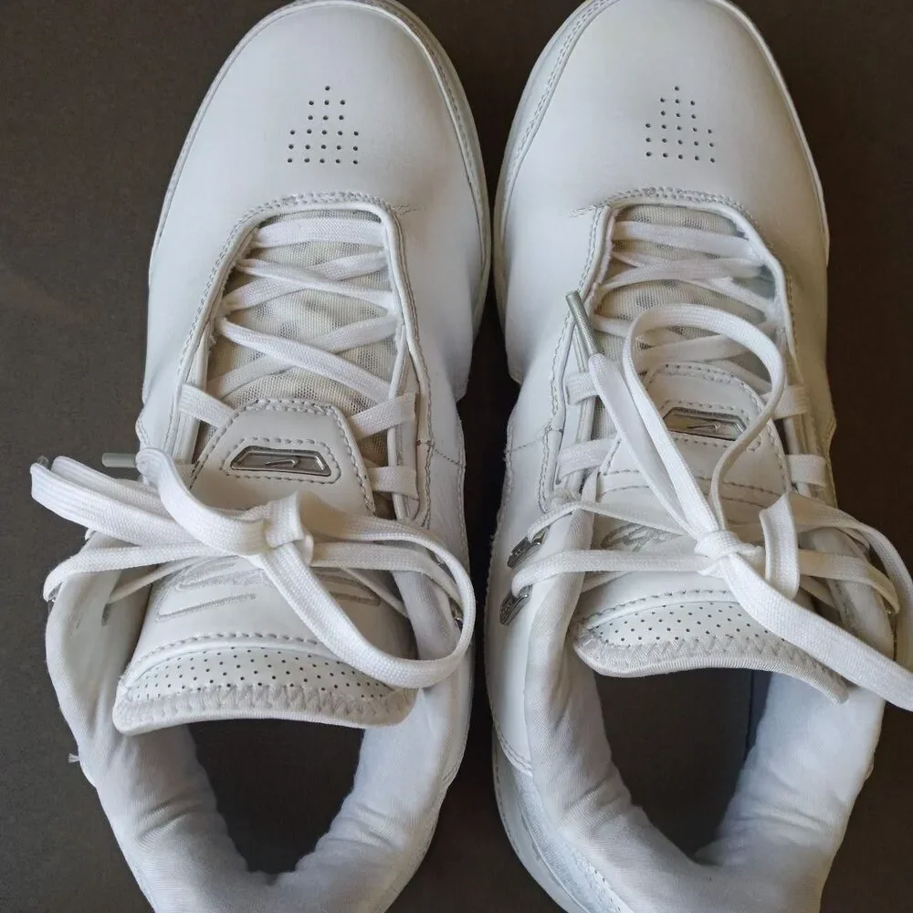 Nike zoom lebron