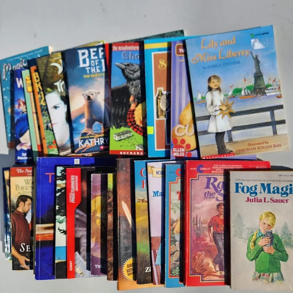 Scholastic book bundle