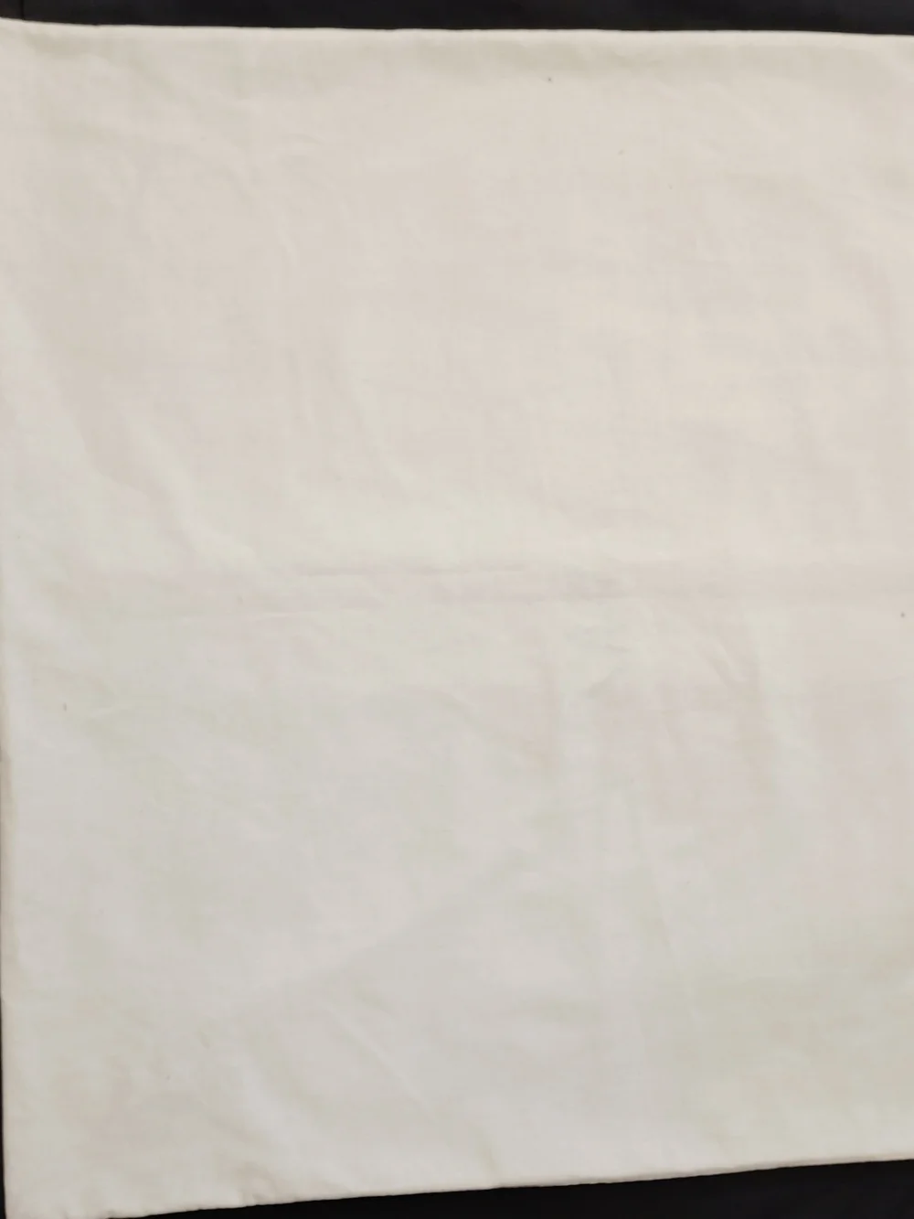 Zara bag dust