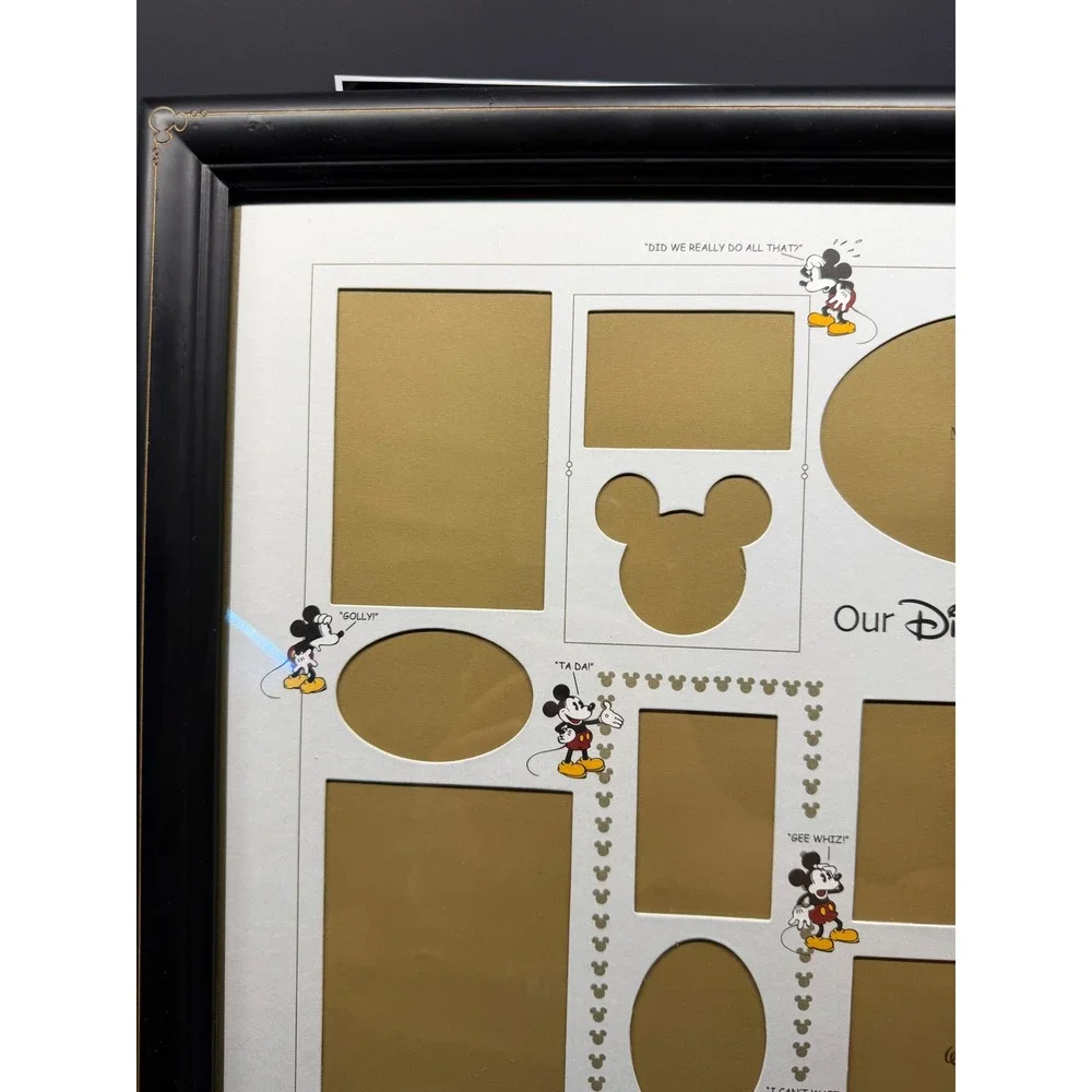 Disney parks exclusive