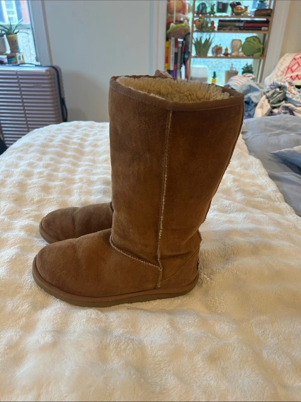 UGG classic tall