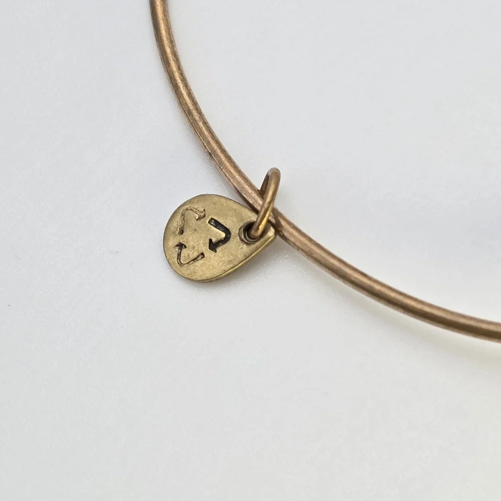 Alex and Ani item used