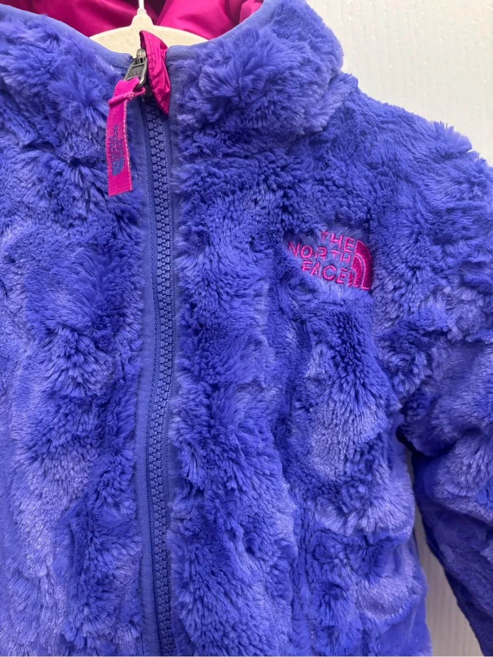The North Face north face