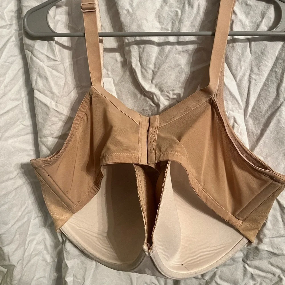 Cacique 46 lightly