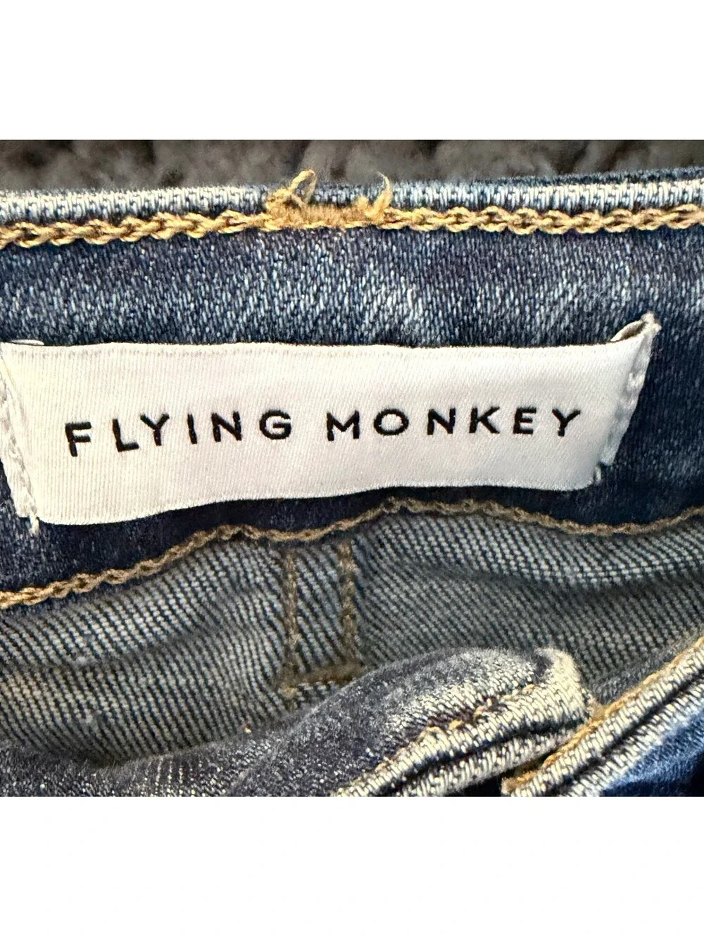 Flying Monkey flying monkey