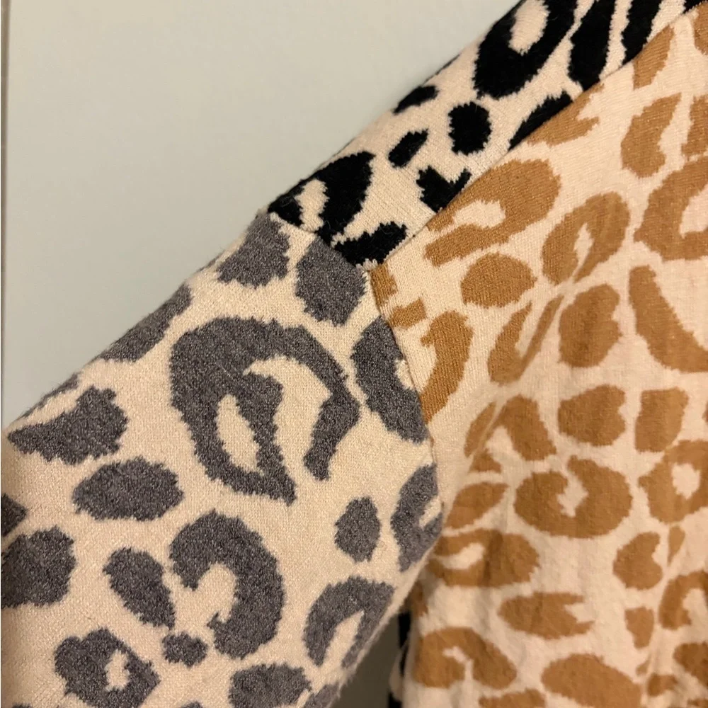 THML leopard teacher