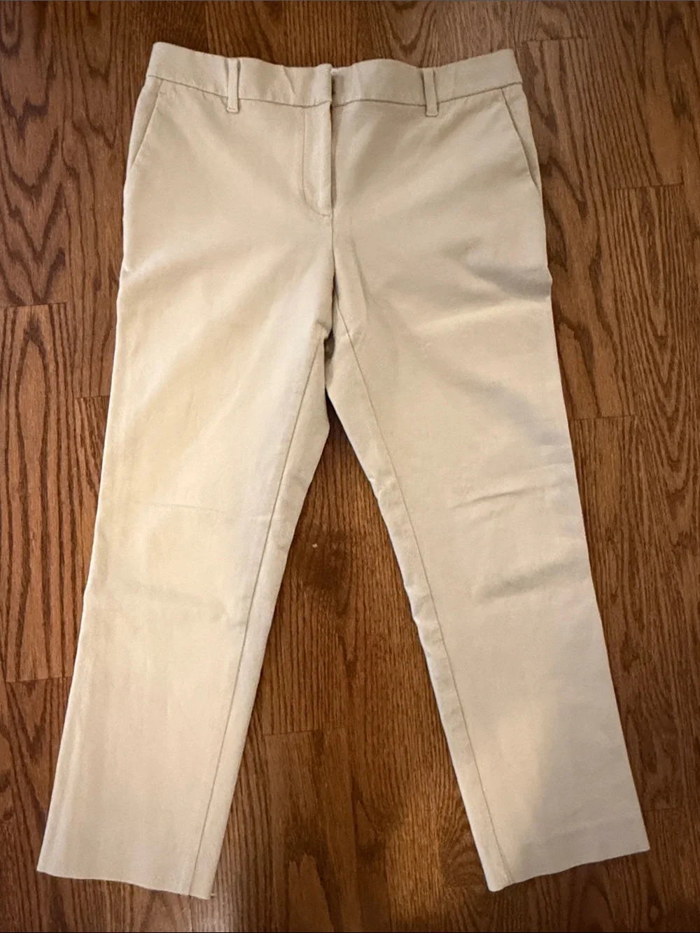 Ann Taylor pants