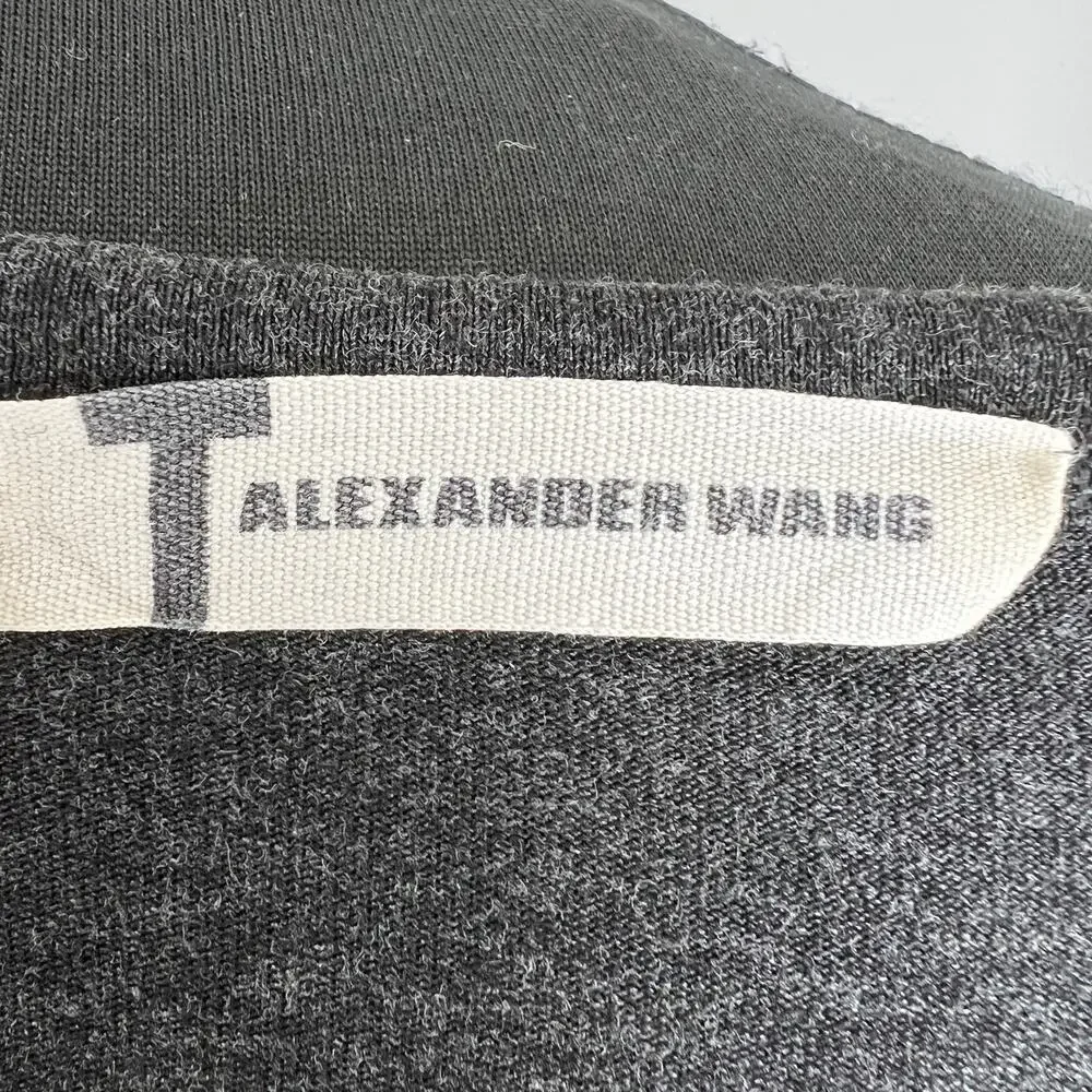 T Alexsander alexsander wang