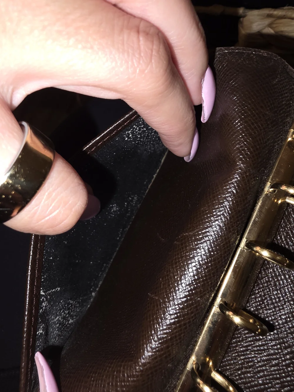 Louis Vuitton authentic louis