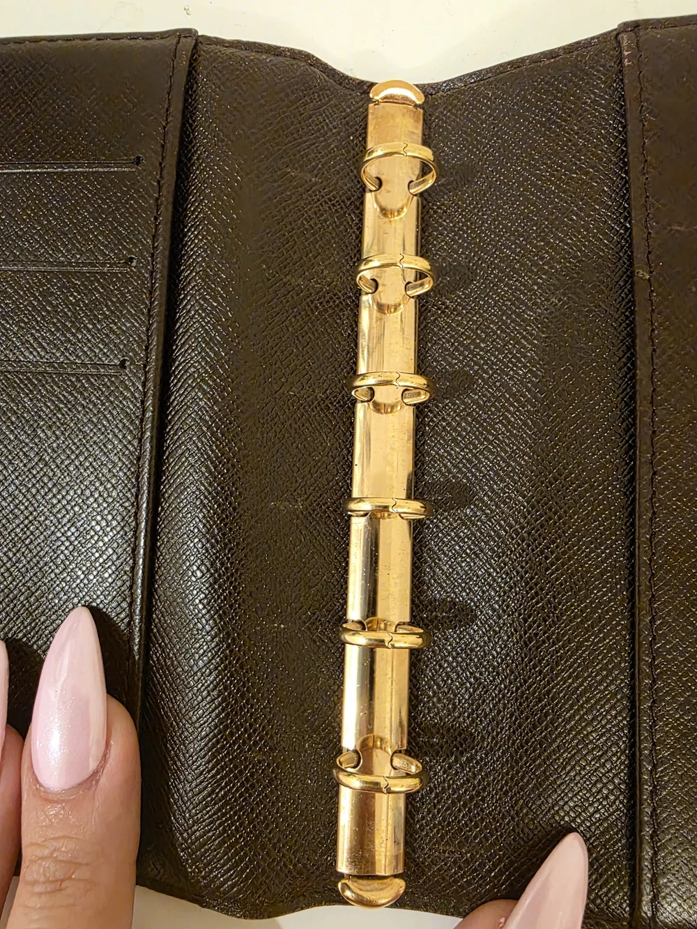 Louis Vuitton authentic louis