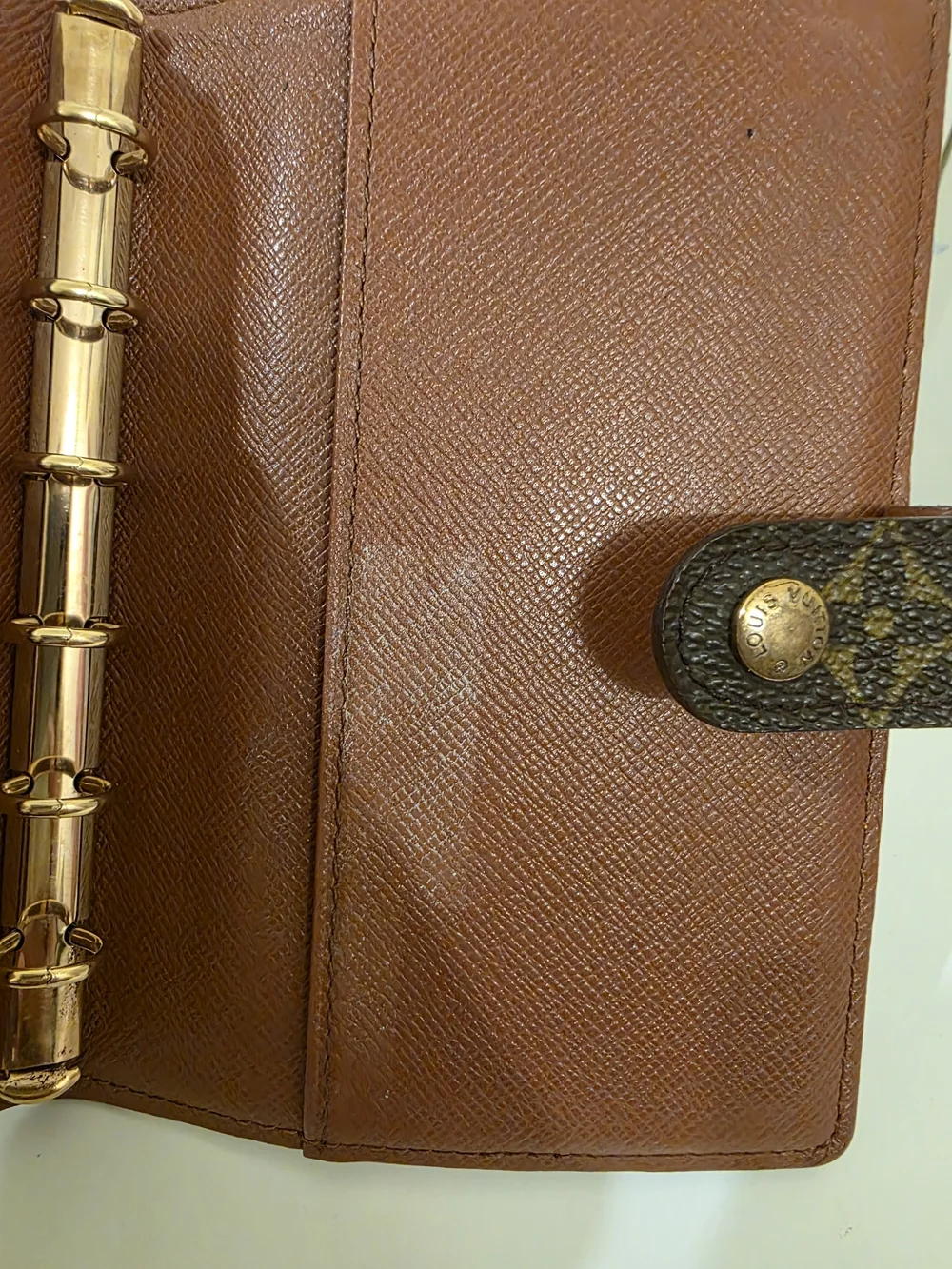 Louis Vuitton classic louis