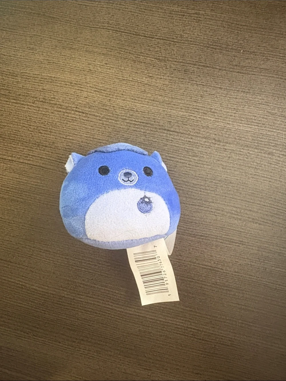 Mini Blueberry Squishmallow