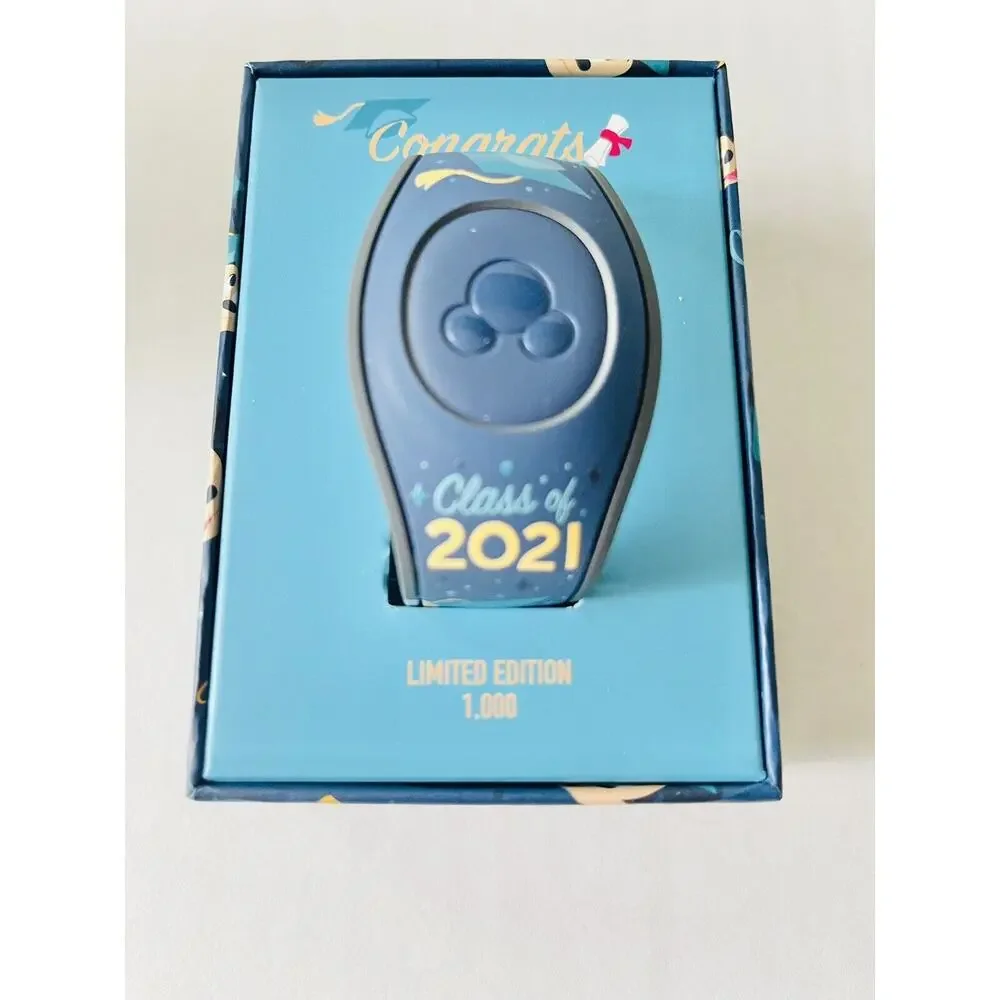 Disney parks class nip