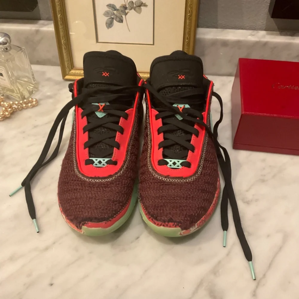 Nike lebron xx