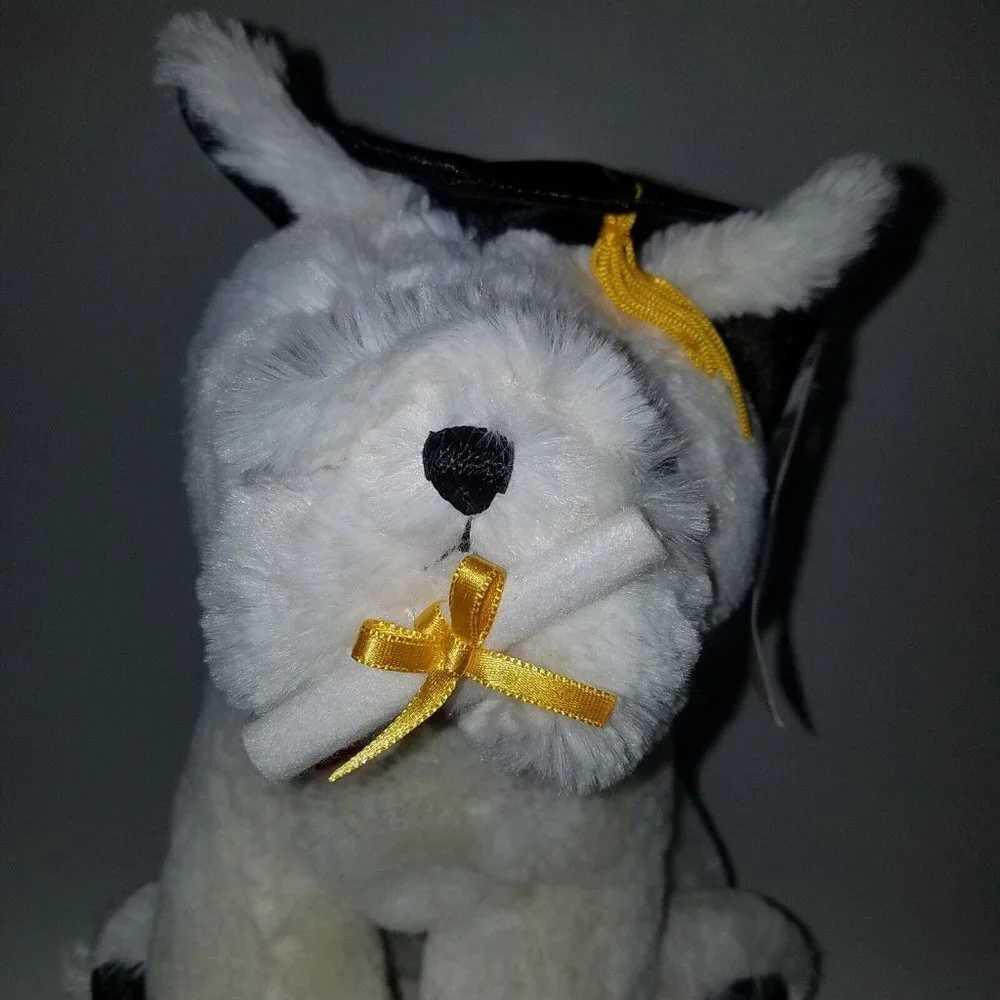 Aurora bulldog graduation