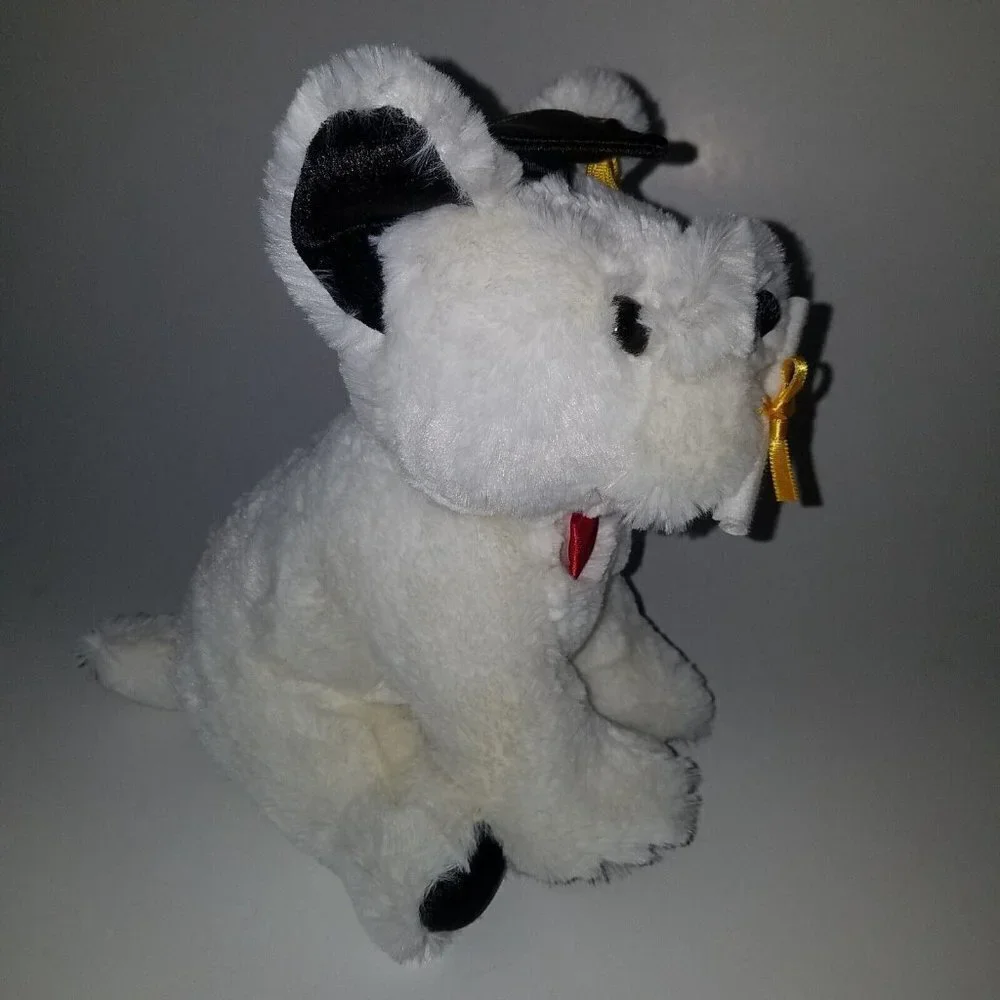 Aurora bulldog graduation