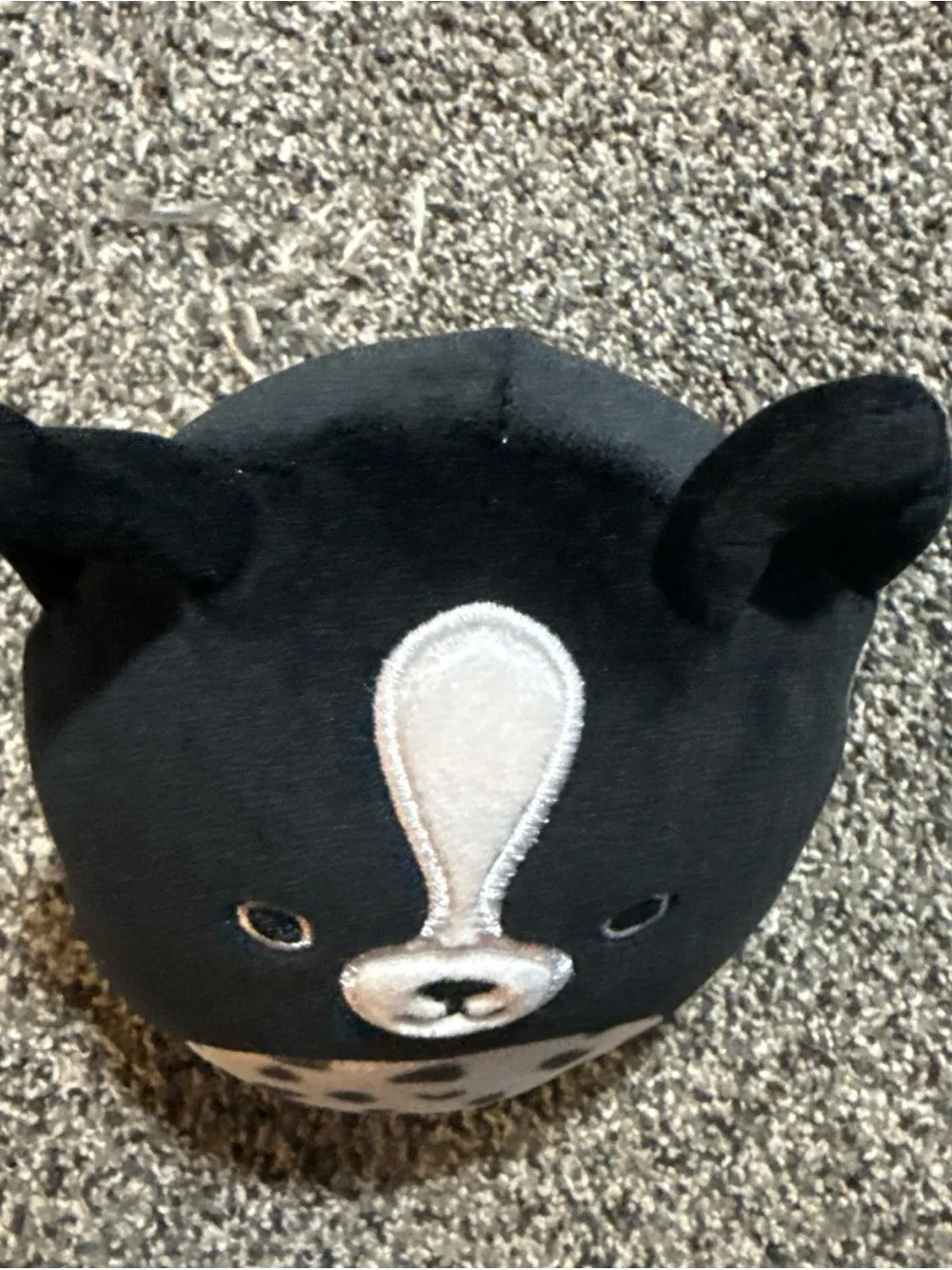 Squishmallows monty black