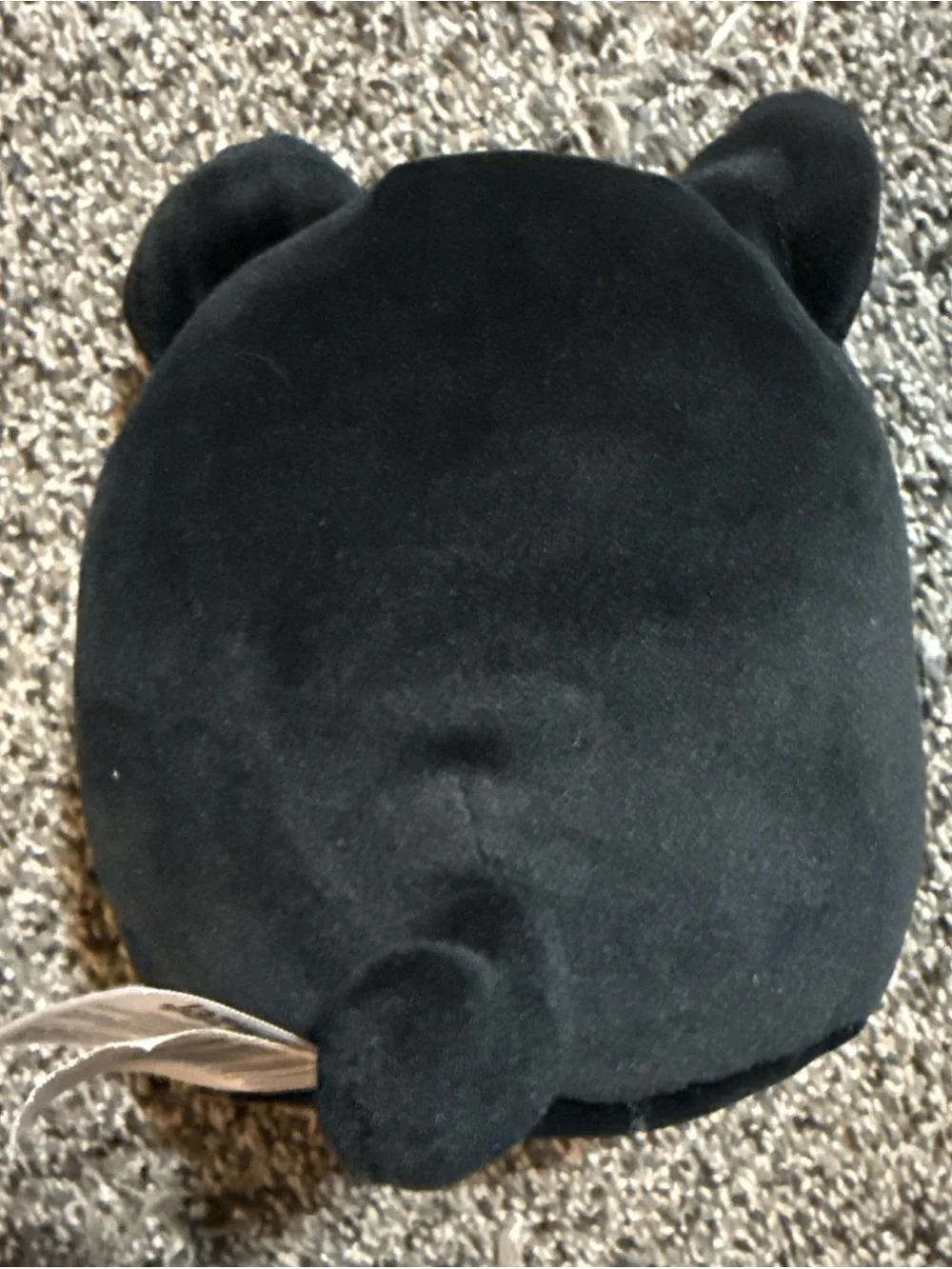 Squishmallows monty black